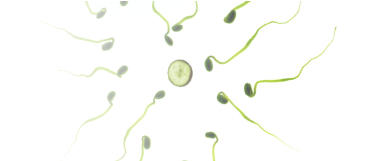 Schlechtes Spermiogramm verbessern