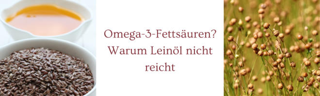 Warum die Einnahme von Leinöl bei Kinderwunsch nicht ausreicht