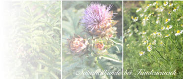 Traditionelle Europäische Naturheilkunde bei unerfülltem Kinderwunsch