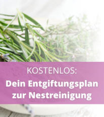 Entgiftungsplan für die Nestreinigung zum schwanger werden