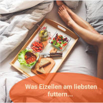 Ernährungstipps zur Verbesserung der Eizellqualität